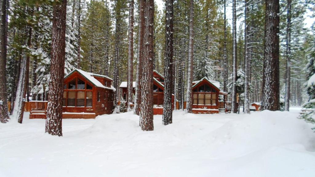 Parque de vacaciones Cedar Pines 3*