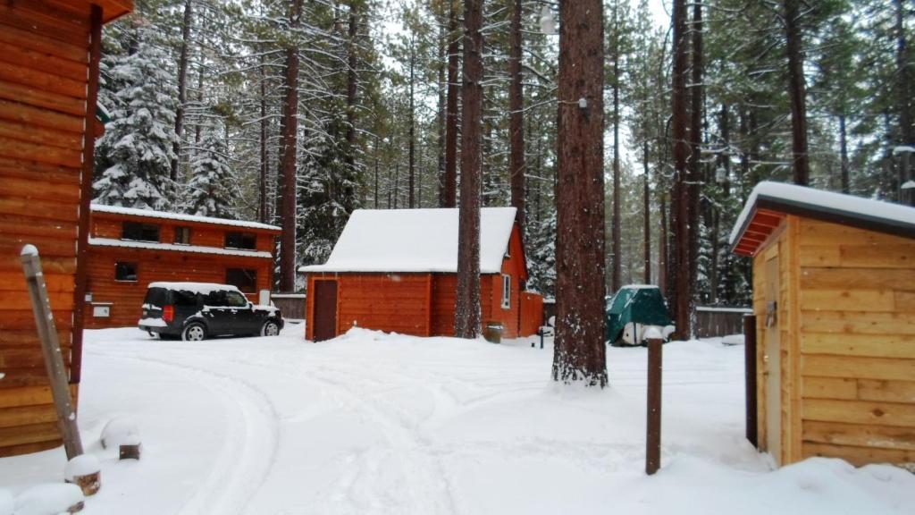 Cedar Pines Ferienpark