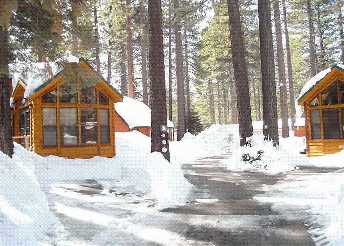 Cedar Pines Resort