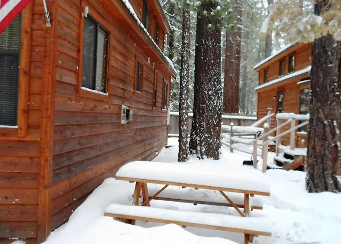 Cedar Pines Resort